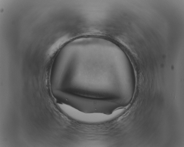 X0000087391455200705181255