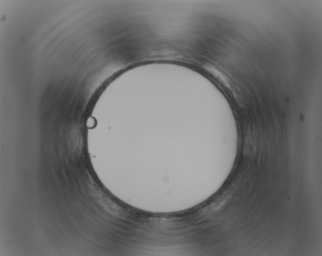 X0000087391458200705181255