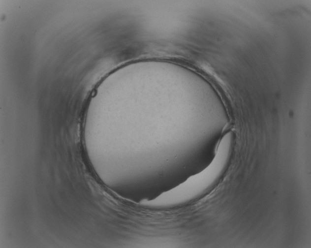 X0000087391459200705181255