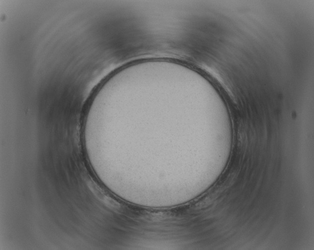 X0000087391460200705181255