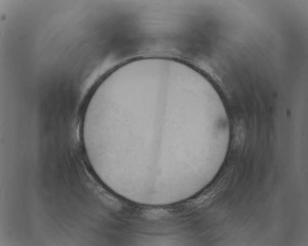 X0000087391462200705181255