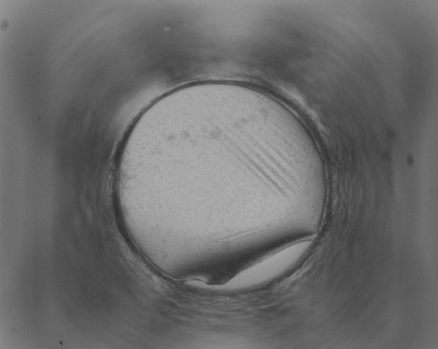 X0000087391463200705181255