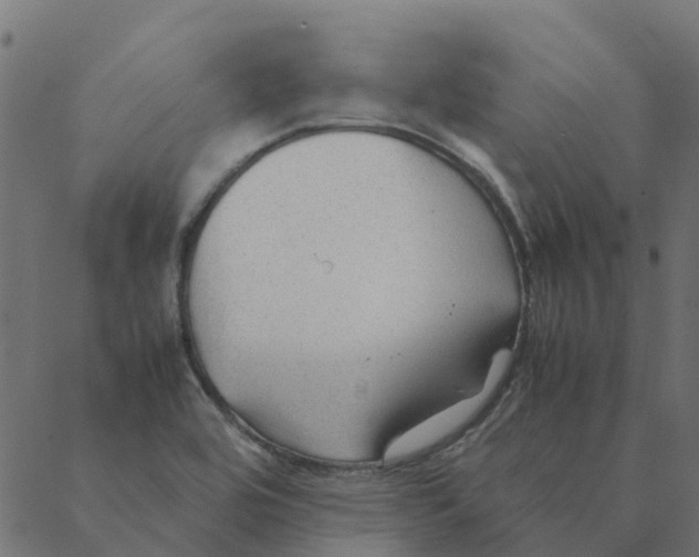 X0000087391464200705181255