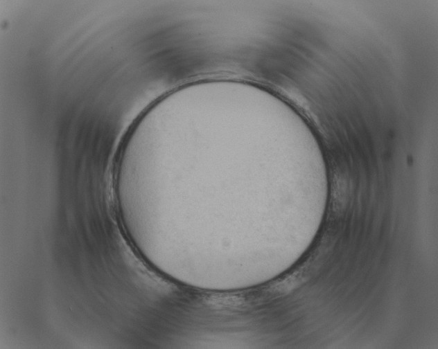 X0000087391466200705181255