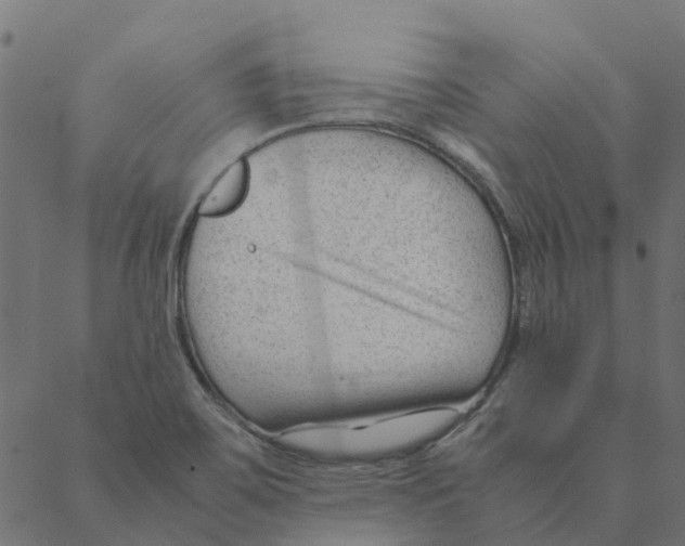 X0000087391467200705181255