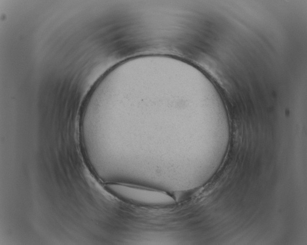 X0000087391468200705181255