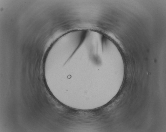 X0000087391469200705181255