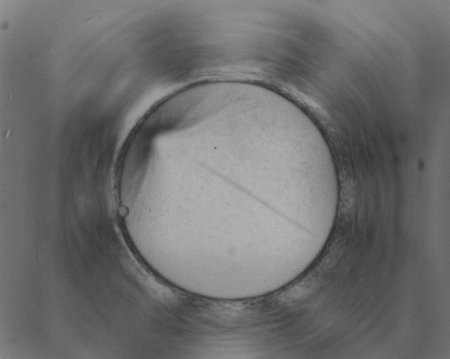 X0000087391470200705181255