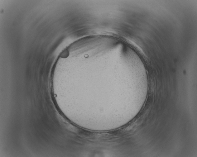 X0000087391471200705181255