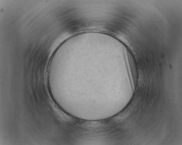 X0000087391474200705181255