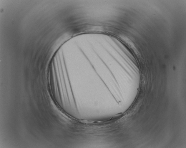 X0000087391475200705181255