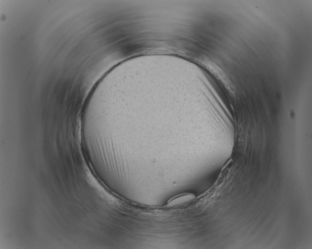 X0000087391476200705181255