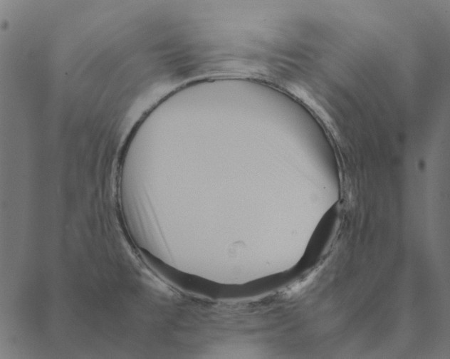 X0000087391477200705181255