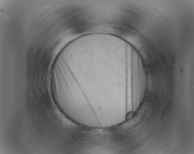 X0000087391478200705181255