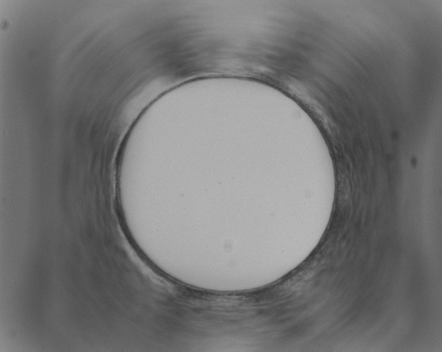 X0000087391479200705181255