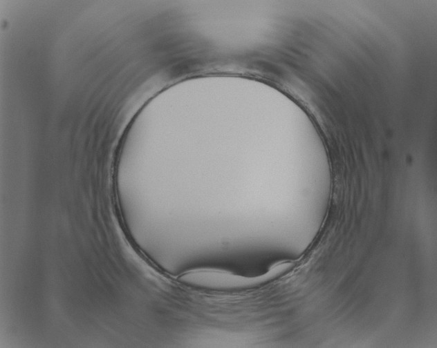 X0000087391483200705181255