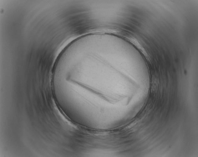 X0000087391484200705181255