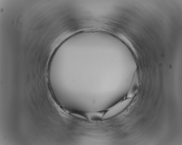 X0000087391485200705181255