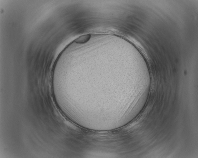 X0000087391486200705181255