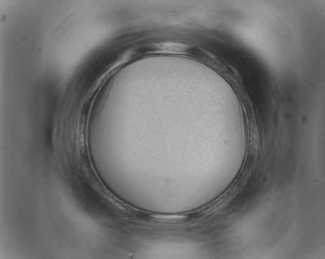 X0000087391487200705181255