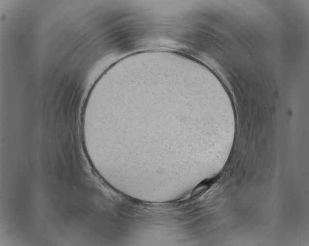 X0000087391488200705181255