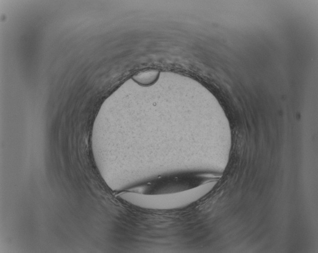 X0000087391489200705181254