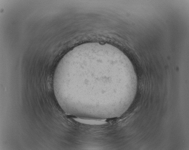 X0000087391490200705181254