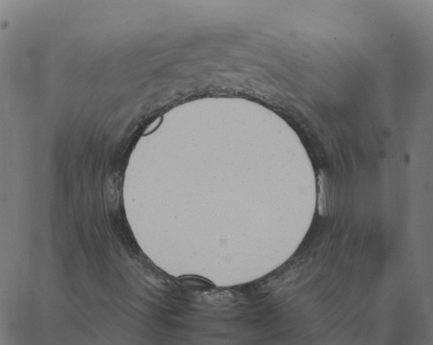 X0000087391491200705181254