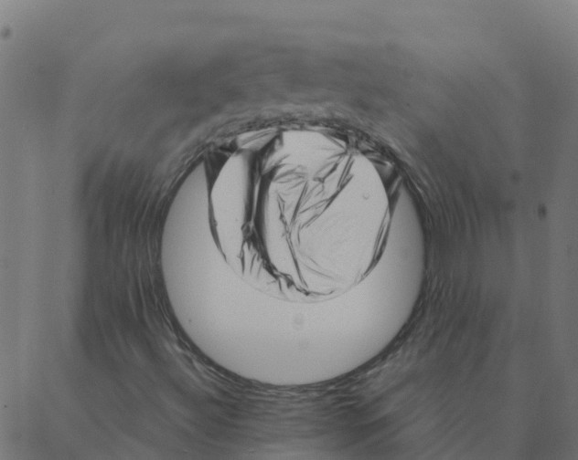 X0000087391492200705181254