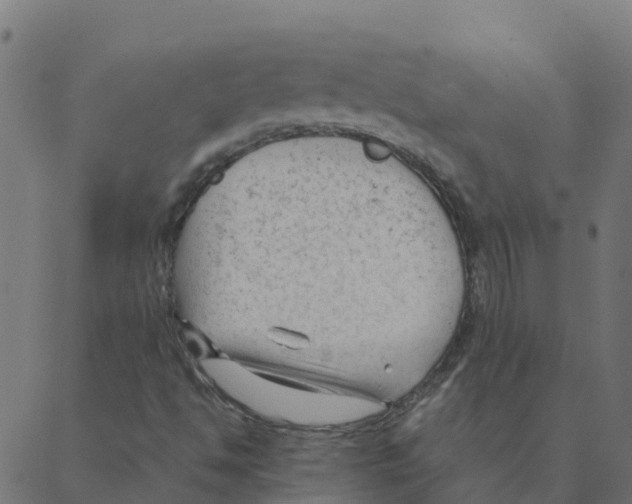 X0000087391494200705181254