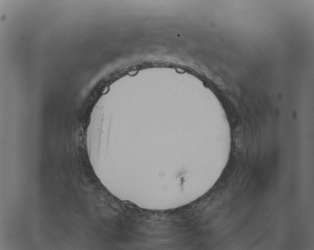 X0000087391495200705181254