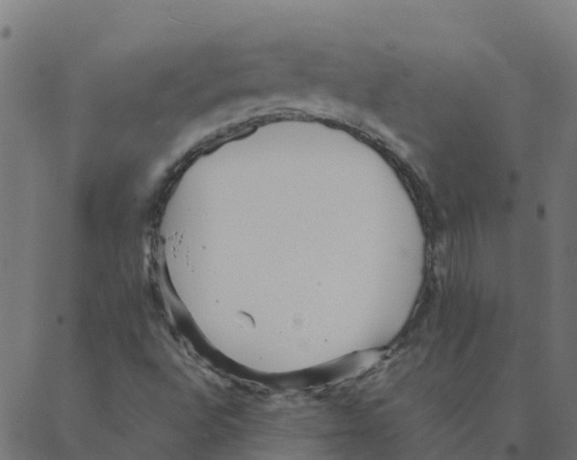 X0000087391496200705181254