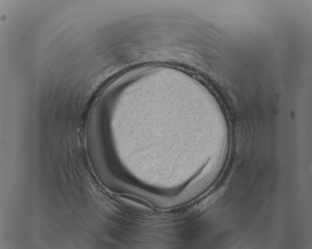 X0000087391497200705181254