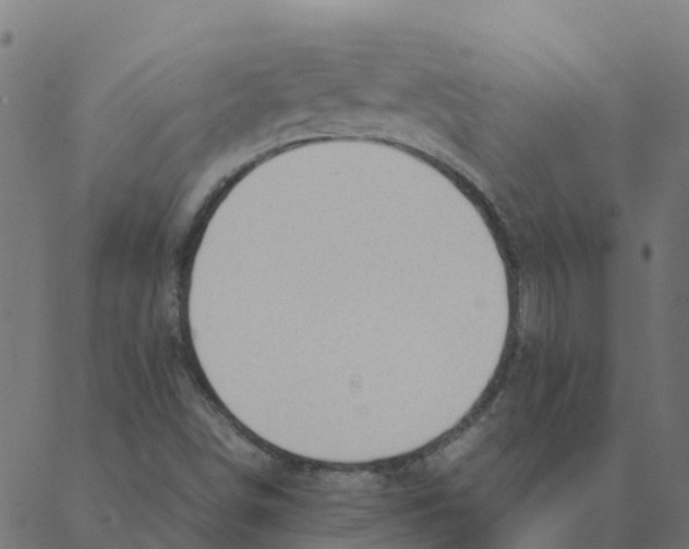 X0000087391498200705181254