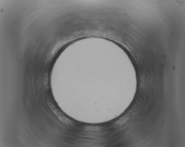 X0000087391499200705181254