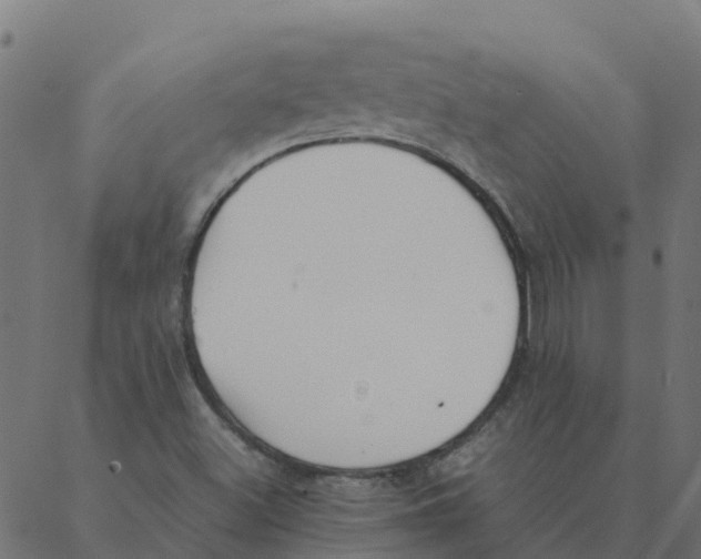 X0000087391500200705181254