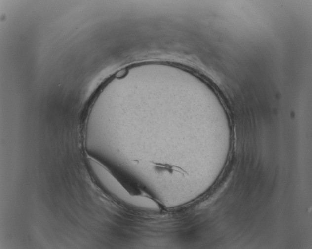 X0000087391501200705181254