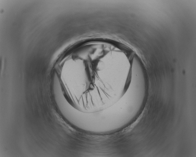 X0000087391502200705181254