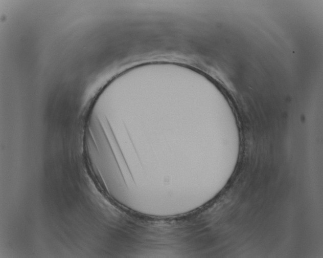 X0000087391504200705181254