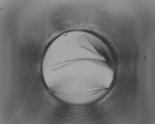 X0000087391505200705181254