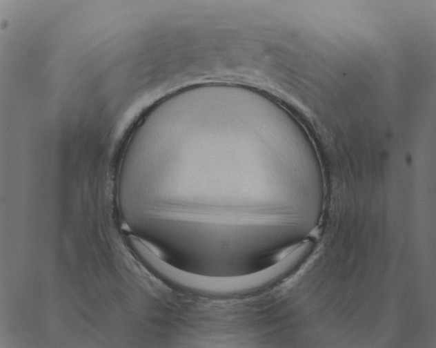 X0000087391506200705181254