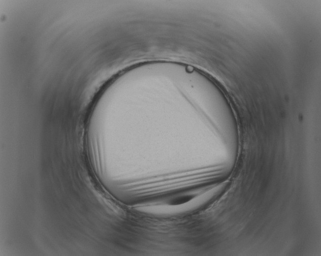 X0000087391507200705181254