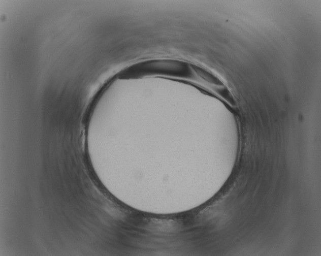 X0000087391509200705181254