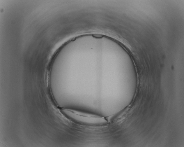 X0000087391510200705181254