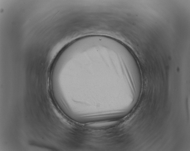 X0000087391511200705181254