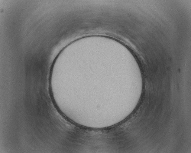 X0000087391512200705181254