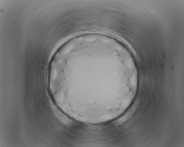 X0000087391514200705181254