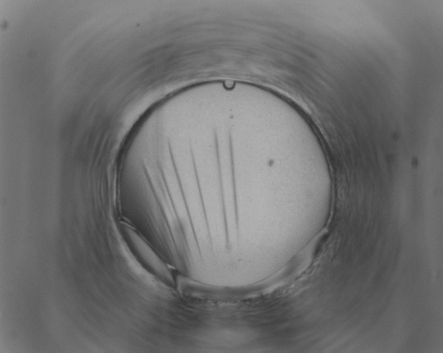 X0000087391515200705181254