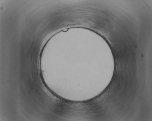 X0000087391516200705181254