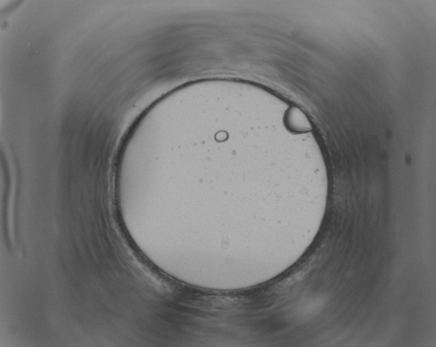 X0000087391517200705181254